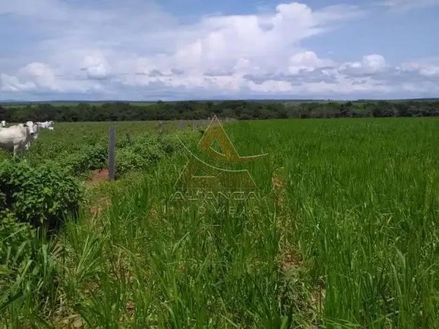 Fazenda venda em Região Geográfica Imediata do Distrito Federal, Região Integrada de Desenvolvimento do Distrito Federal e Entorno