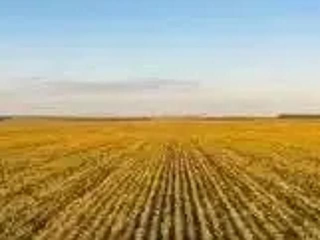 Fazenda venda em Região Geográfica Imediata de Cascavel, Guaraniaçu