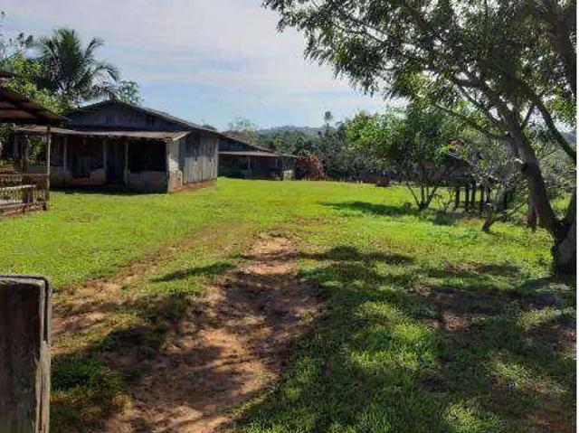 Fazenda venda em Região Geográfica Imediata de Peixoto de Azevedo - Guarantã do Norte, Guarantã do Norte