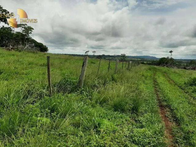 Fazenda venda em Região Geográfica Imediata de Peixoto de Azevedo - Guarantã do Norte, Guarantã do Norte