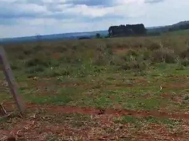 Fazenda venda em Região Geográfica Imediata de Peixoto de Azevedo - Guarantã do Norte, Guarantã do Norte