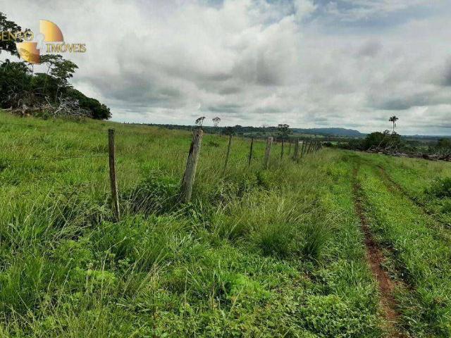 Fazenda venda em Guarantã do Norte, Região Geográfica Intermediária de Sinop