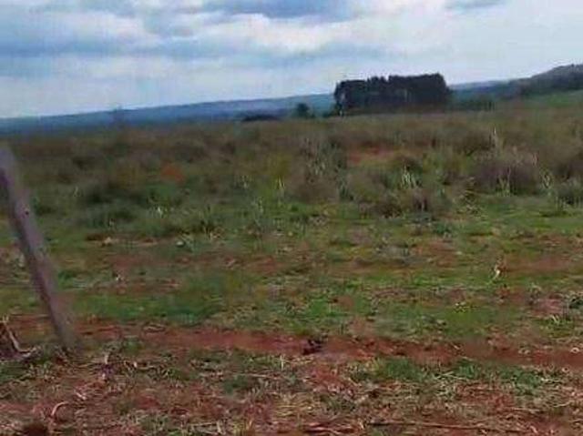 Fazenda venda em Guarantã do Norte, Região Geográfica Intermediária de Sinop