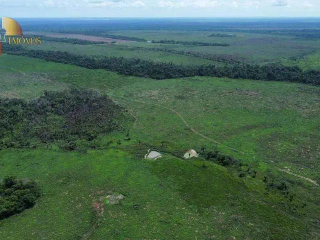 Fazenda venda em Região Geográfica Imediata de Peixoto de Azevedo - Guarantã do Norte, Guarantã do Norte
