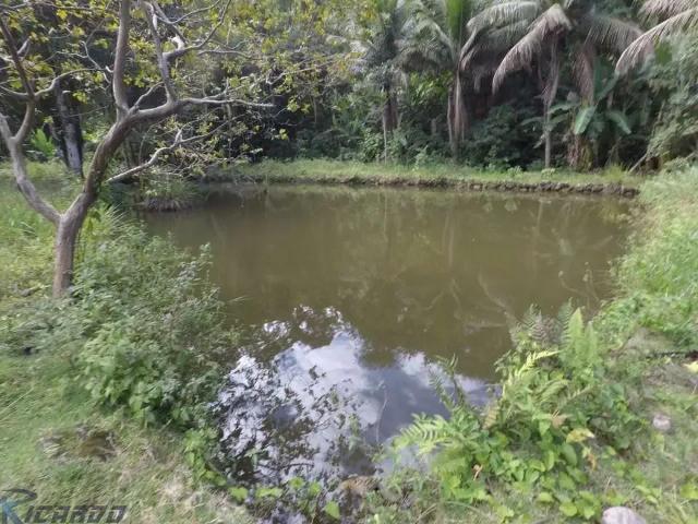Fazenda venda em Região Geográfica Imediata de Vitória, Região Metropolitana da Grande Vitória