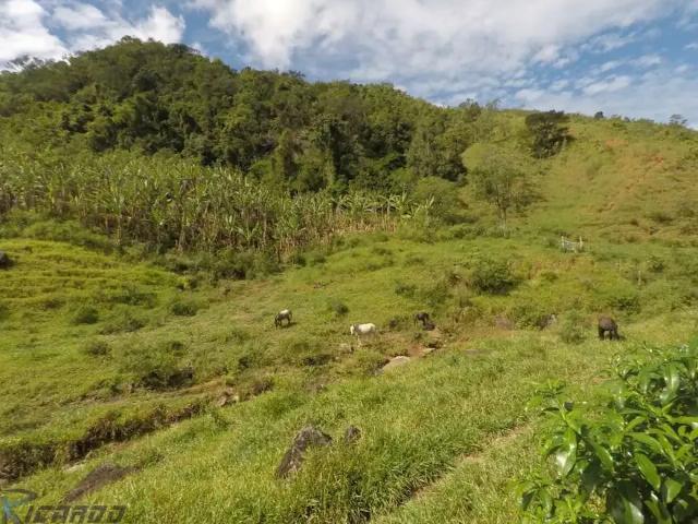 Fazenda venda em Região Geográfica Imediata de Vitória, Região Metropolitana da Grande Vitória