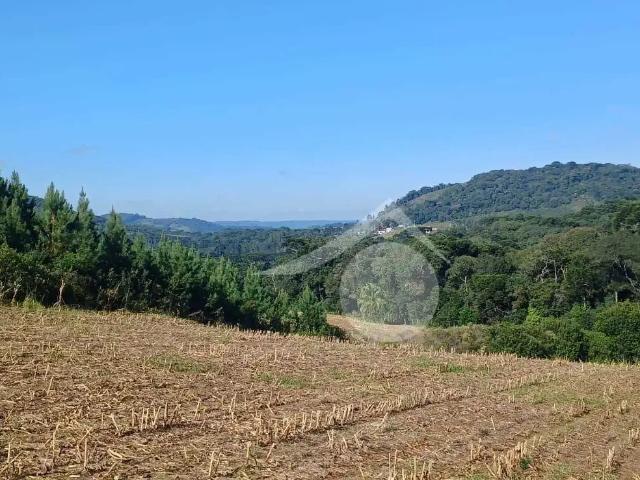 Fazenda venda em Região Geográfica Imediata de Guarapuava, Guarapuava