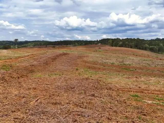 Fazenda venda em Região Geográfica Imediata de Guarapuava, Guarapuava