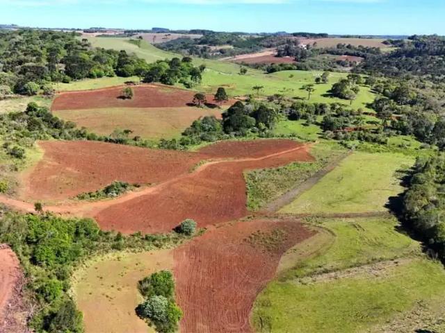 Fazenda venda em Região Geográfica Imediata de Guarapuava, Guarapuava