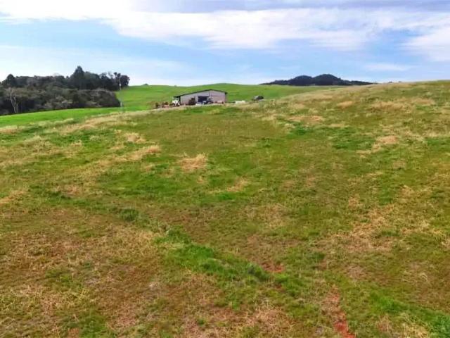 Fazenda venda em Região Geográfica Imediata de Guarapuava, Guarapuava