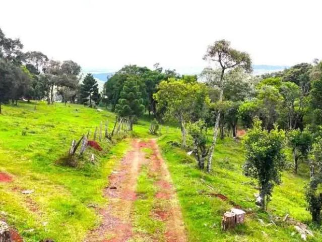 Fazenda venda em Região Geográfica Imediata de Guarapuava, Guarapuava