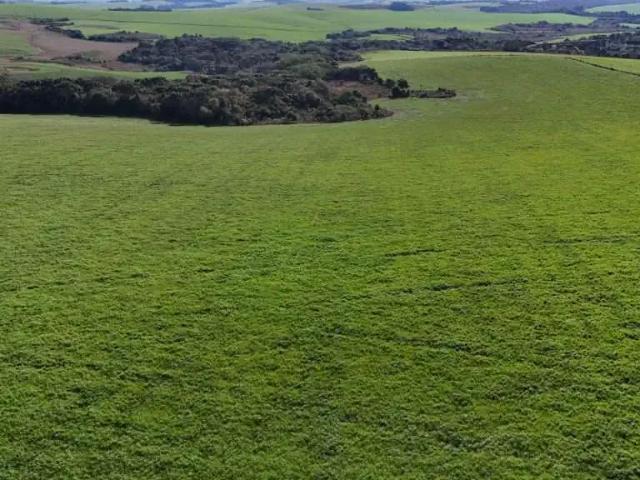 Fazenda venda em Região Geográfica Imediata de Guarapuava, Guarapuava