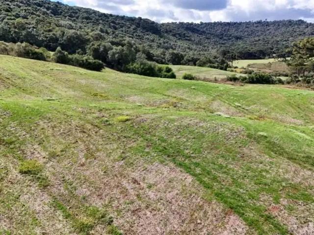 Fazenda venda em Região Geográfica Imediata de Guarapuava, Guarapuava