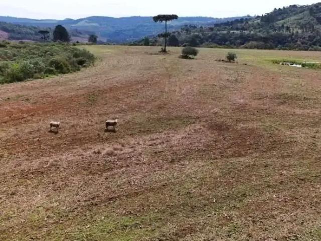Fazenda venda em Região Geográfica Imediata de Guarapuava, Guarapuava