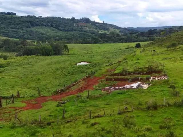 Fazenda venda em Região Geográfica Imediata de Guarapuava, Guarapuava