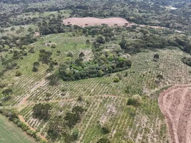 Fazenda venda em Região Geográfica Imediata de Guarapuava, Guarapuava