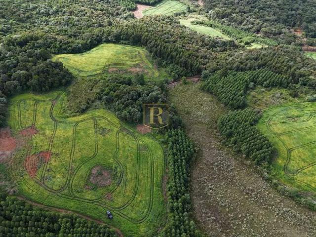 Fazenda venda em Guarapuava, Região Geográfica Intermediária de Guarapuava