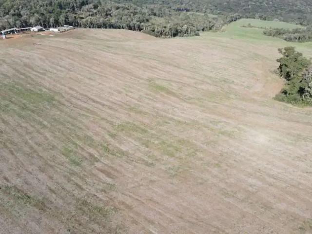 Fazenda venda em Região Geográfica Imediata de Guarapuava, Guarapuava