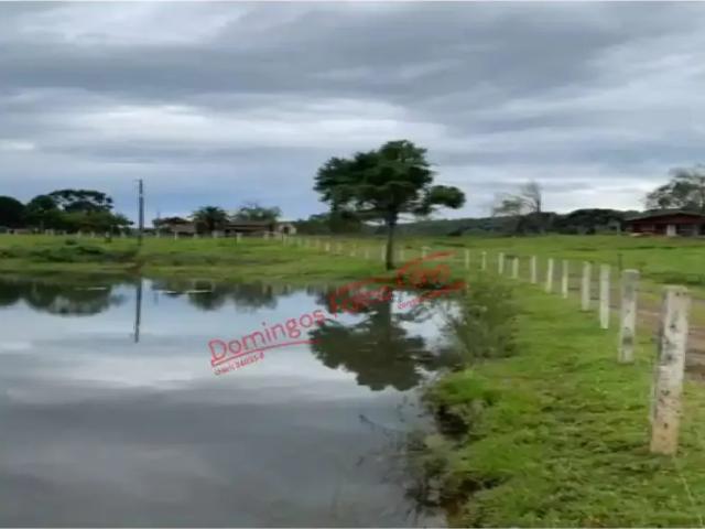 Fazenda venda em Região Geográfica Imediata de Guarapuava, Guarapuava