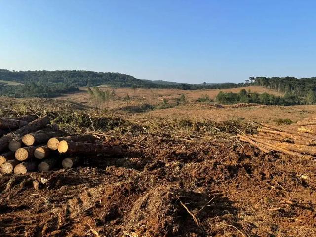 Fazenda venda em Região Geográfica Imediata de Guarapuava, Guarapuava