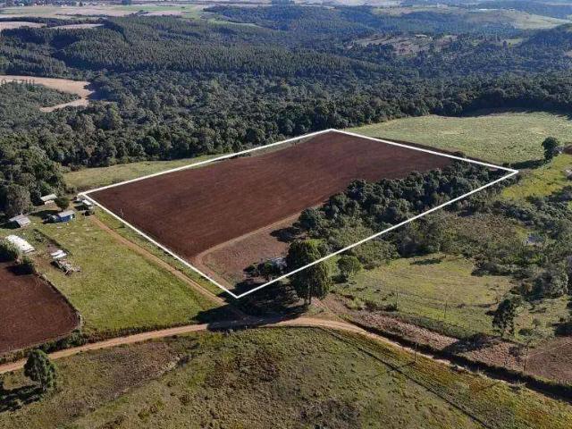 Fazenda venda em Região Geográfica Imediata de Guarapuava, Guarapuava