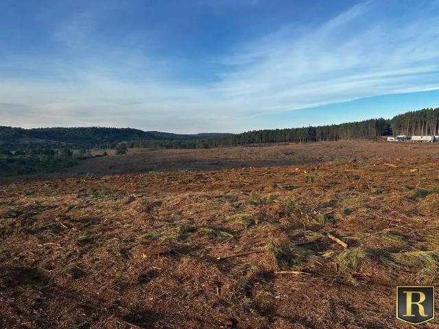 Fazenda venda em Região Geográfica Imediata de Guarapuava, Guarapuava