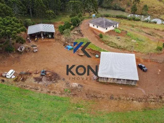 Fazenda venda em Região Geográfica Imediata de Guarapuava, Guarapuava