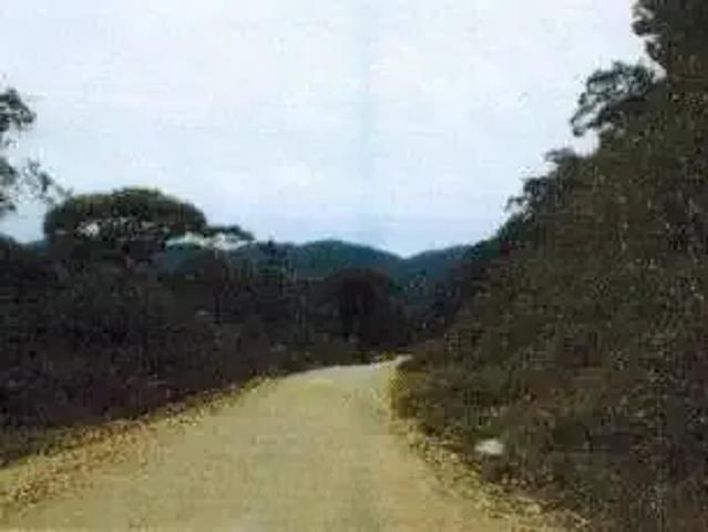 Fazenda venda em Região Geográfica Imediata de Paranaguá, Região Sul