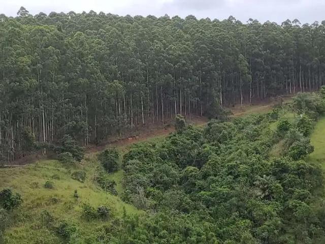 Fazenda venda em Região Imediata de Guaratinguetá, Região Metropolitana do Vale do Paraíba e Litoral Norte