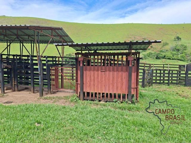 Fazenda venda em Guaratinguetá