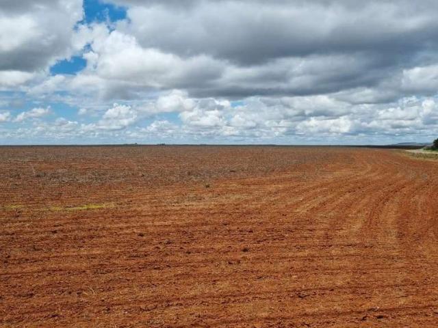 Fazenda venda em Região Geográfica Imediata de Patos de Minas, Guarda-Mor
