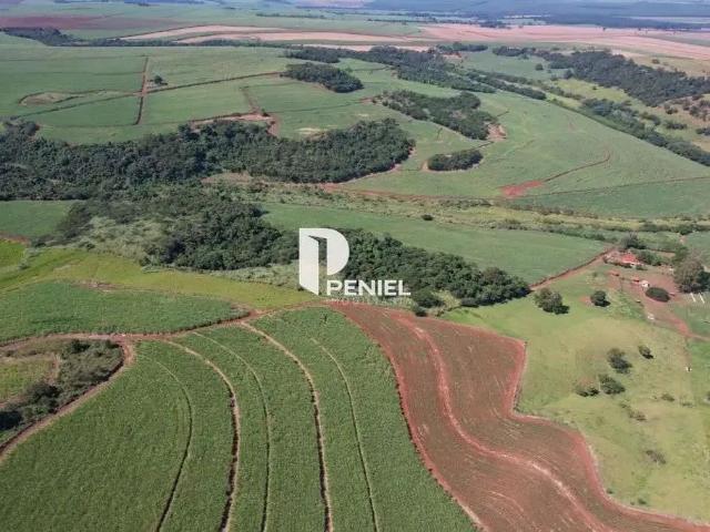 Fazenda venda em Região Imediata de Ribeirão Preto, Região Metropolitana de Ribeirão Preto