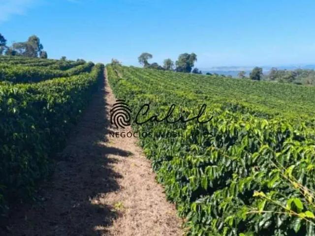 Fazenda venda em Região Geográfica Imediata do Distrito Federal, Região Integrada de Desenvolvimento do Distrito Federal e Entorno