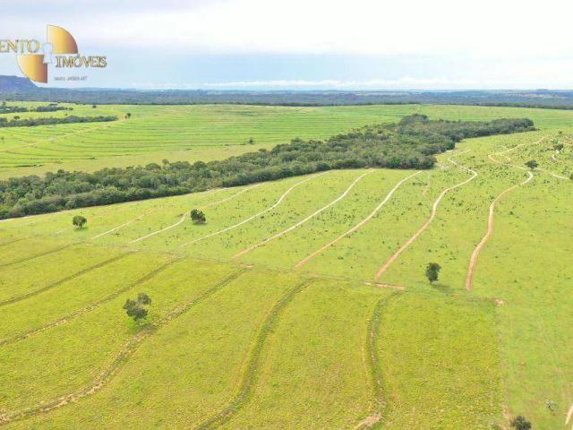 Fazenda venda em Guiratinga, Região Geográfica Intermediária de Rondonópolis