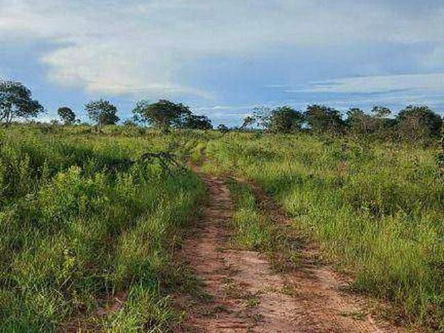 Fazenda venda em Guiratinga, Região Geográfica Intermediária de Rondonópolis