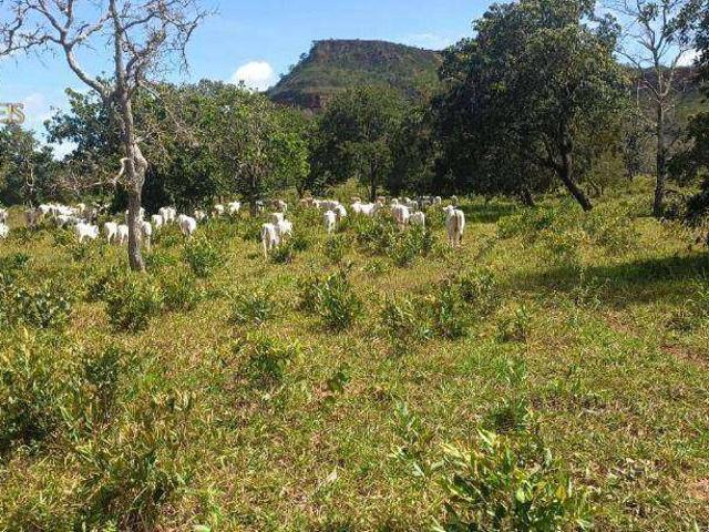 Fazenda venda em Guiratinga, Região Geográfica Intermediária de Rondonópolis
