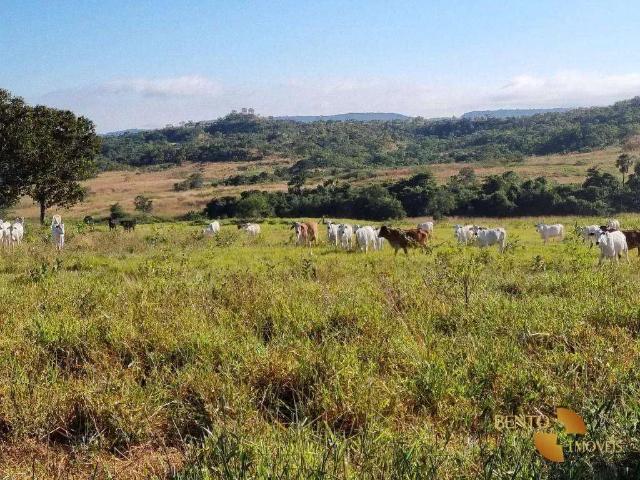 Fazenda venda em Região Geográfica Imediata de Rondonópolis, Guiratinga