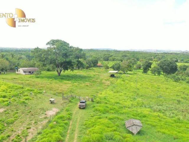 Fazenda venda em Região Geográfica Imediata de Rondonópolis, Guiratinga
