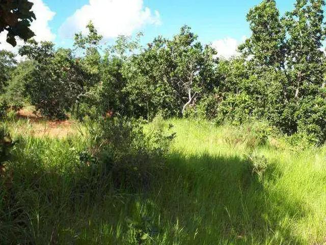 Fazenda venda em Região Geográfica Imediata de Rondonópolis, Guiratinga
