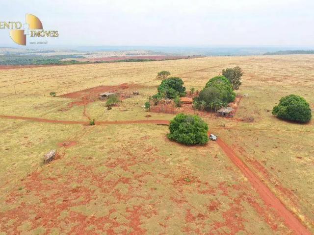 Fazenda venda em Região Geográfica Imediata de Rondonópolis, Guiratinga