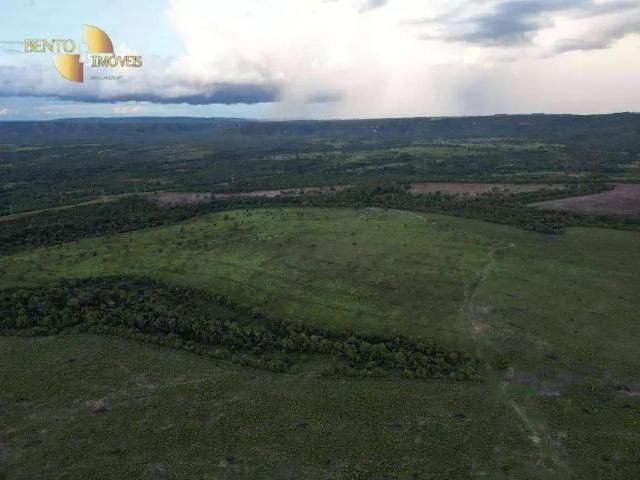 Fazenda venda em Região Geográfica Imediata de Rondonópolis, Guiratinga