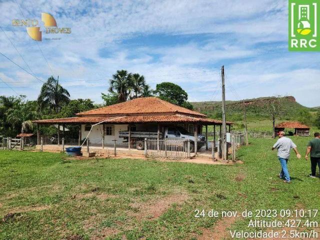 Fazenda venda em Região Geográfica Imediata de Rondonópolis, Guiratinga
