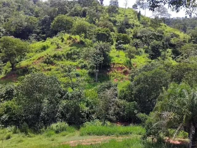 Fazenda venda em Região Geográfica Imediata de Rondonópolis, Guiratinga
