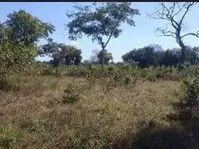 Fazenda venda em Região Geográfica Imediata de Rondonópolis, Guiratinga