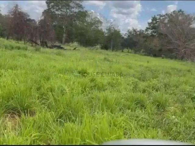 Fazenda venda em Região Geográfica Imediata de Rondonópolis, Guiratinga