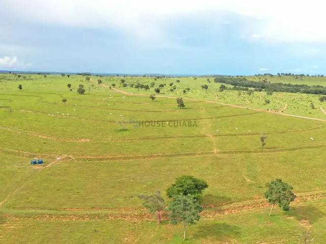 Fazenda venda em Região Geográfica Imediata de Rondonópolis, Guiratinga