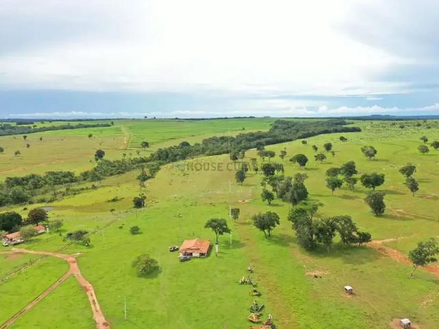 Fazenda venda em Região Geográfica Imediata de Rondonópolis, Guiratinga
