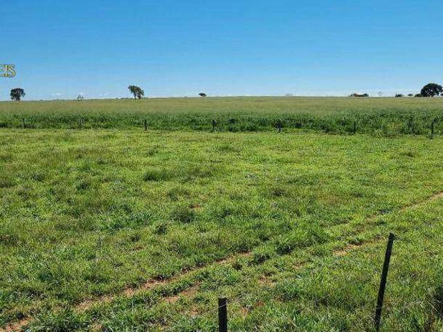 Fazenda venda em Guiratinga, Região Geográfica Intermediária de Rondonópolis