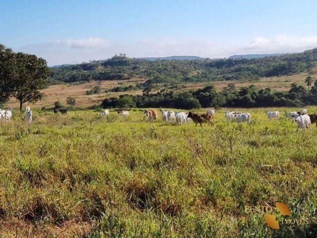 Fazenda venda em Guiratinga, Região Geográfica Intermediária de Rondonópolis
