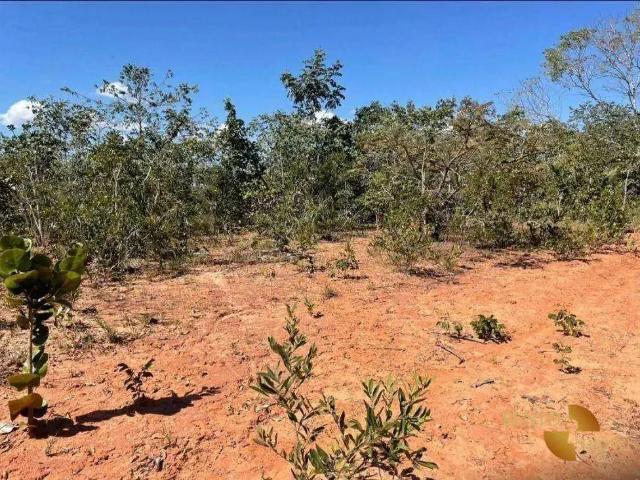 Fazenda venda em Região Geográfica Imediata de Rondonópolis, Guiratinga